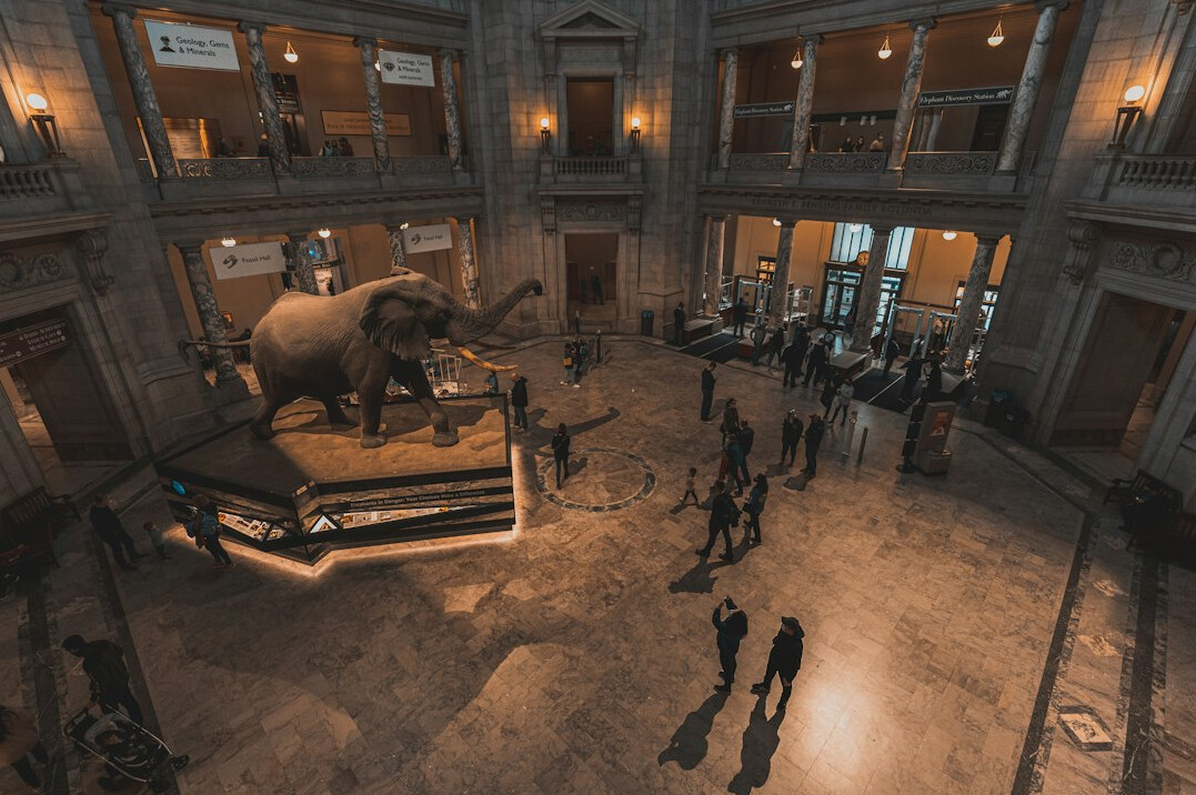 interactive museum exhibit